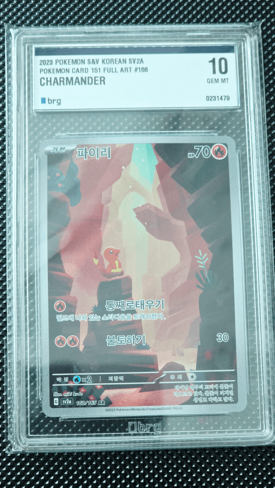 파이리 AR BRG 10