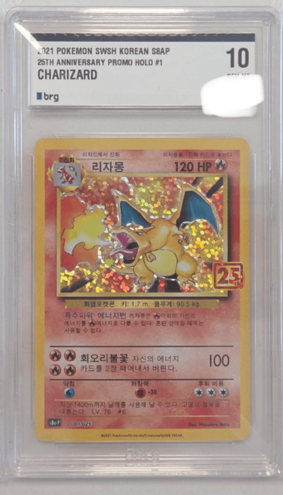 25주년 리자몽 brg10