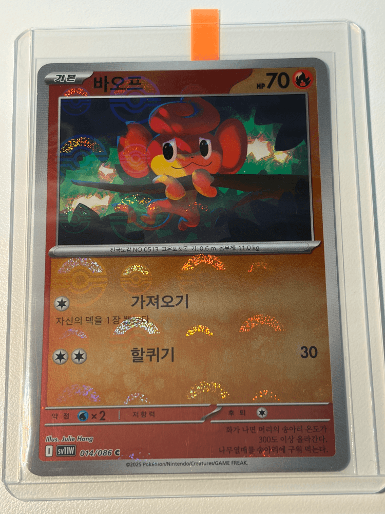 슬라이드 이미지 5