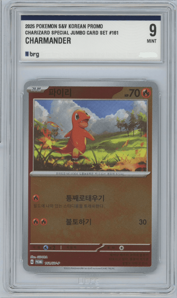 슬라이드 이미지 3