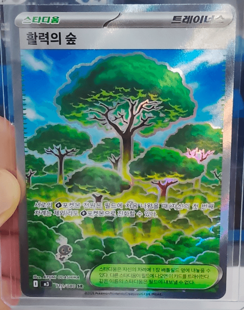 [이벤트 0원경매] 활력의숲 AR