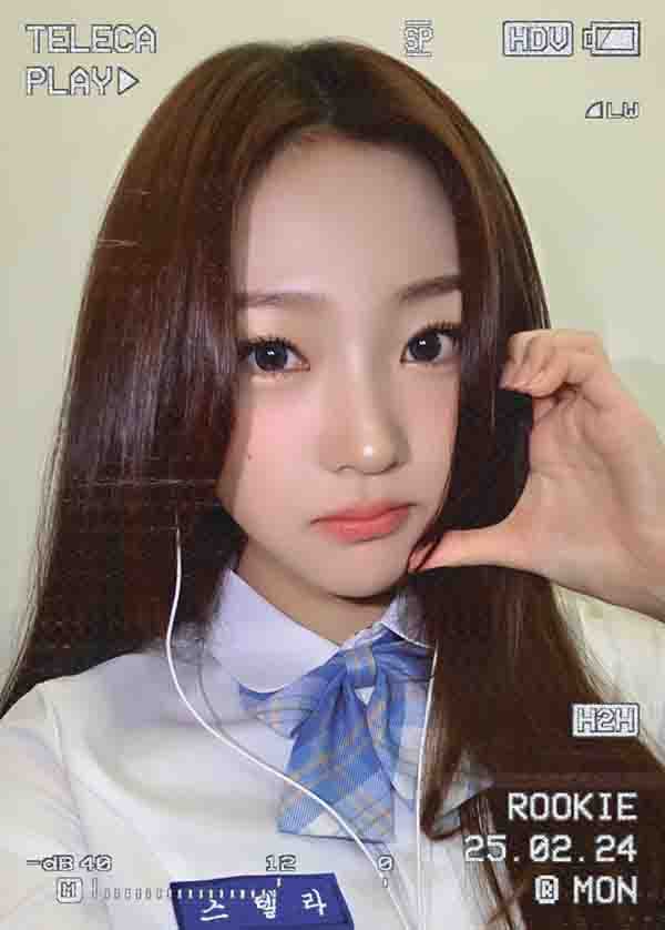 스텔라