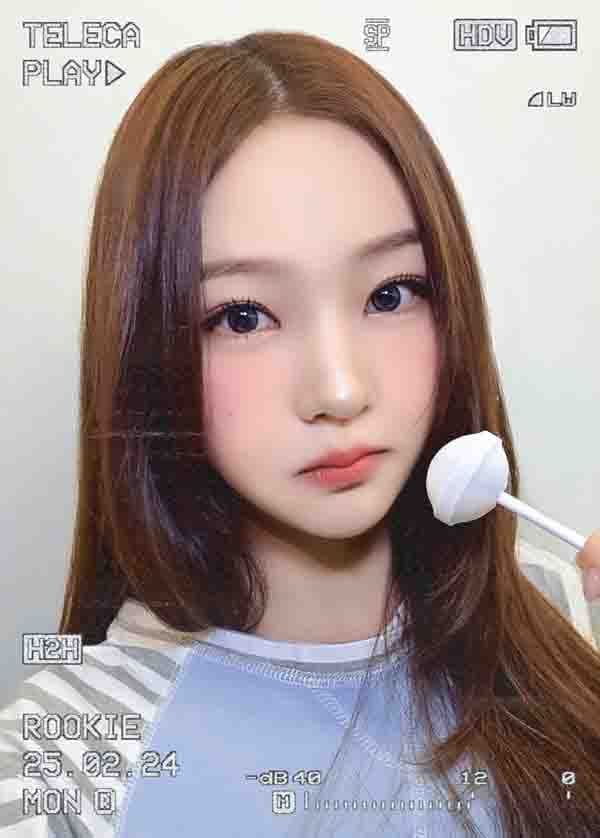 스텔라