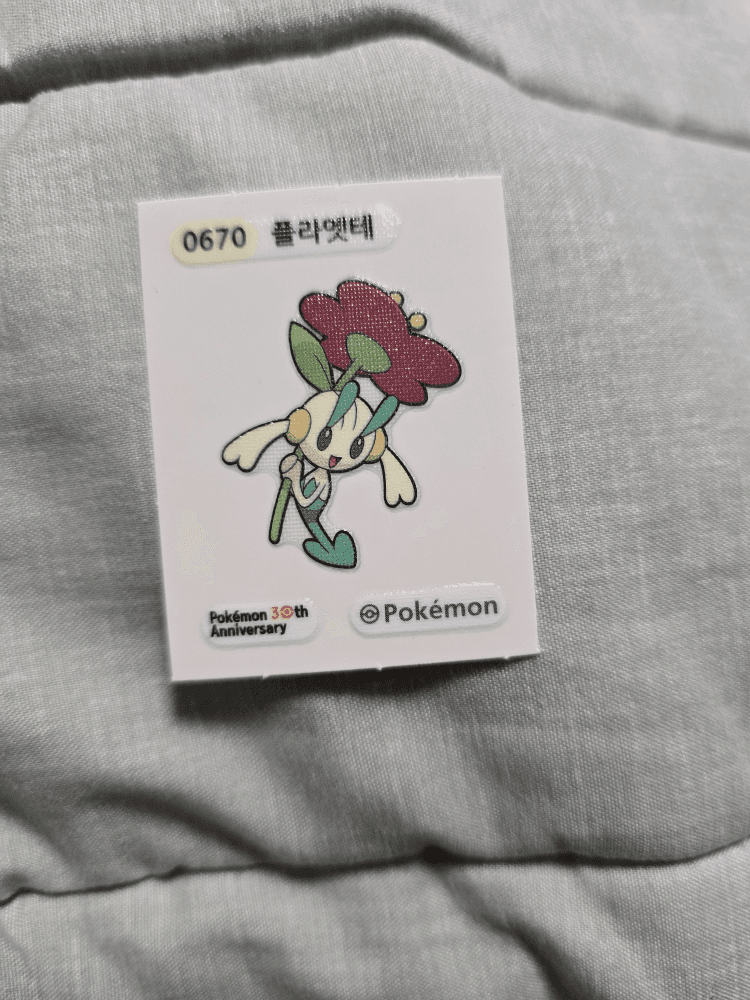 플라엣테 띠부씰