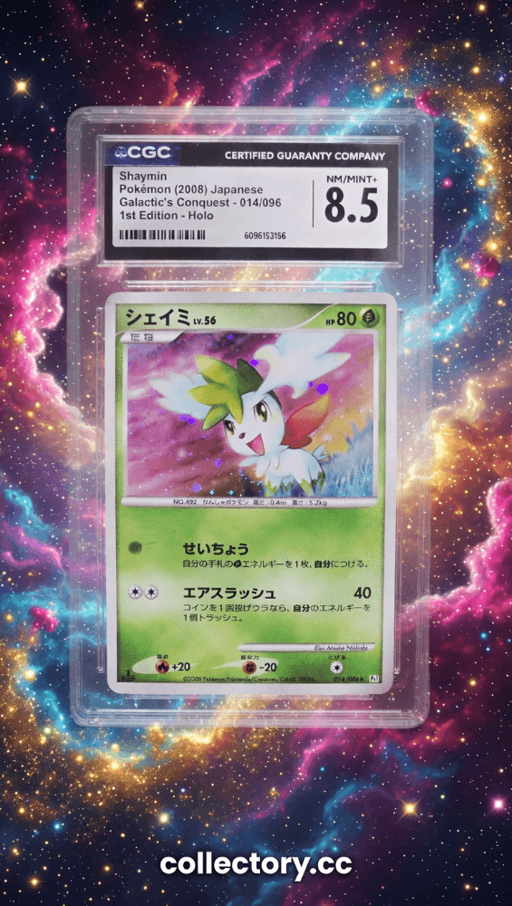 슬라이드 이미지 1