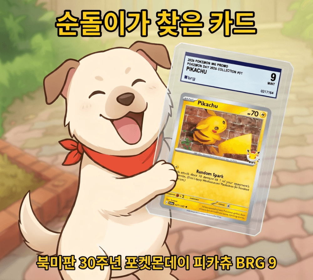 슬라이드 이미지 2