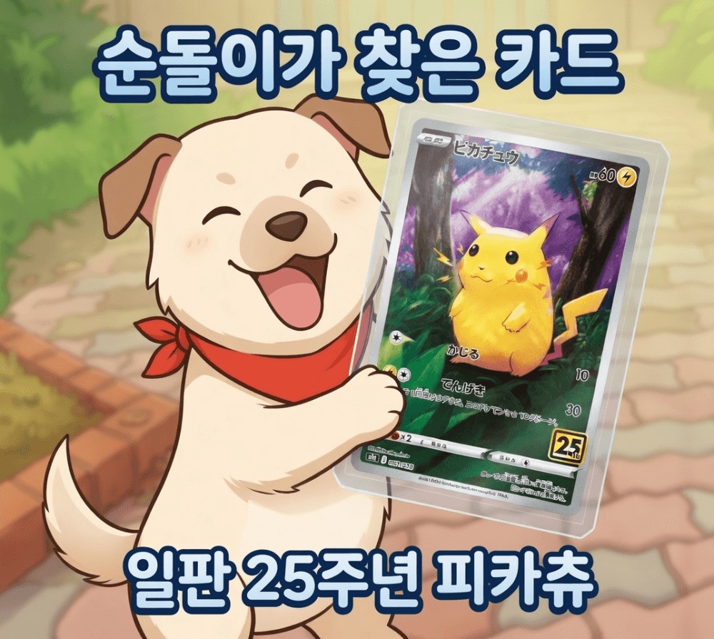 슬라이드 이미지 4