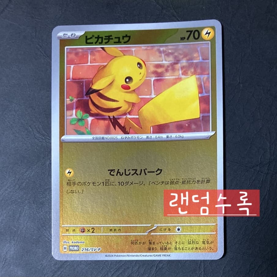 슬라이드 이미지 5