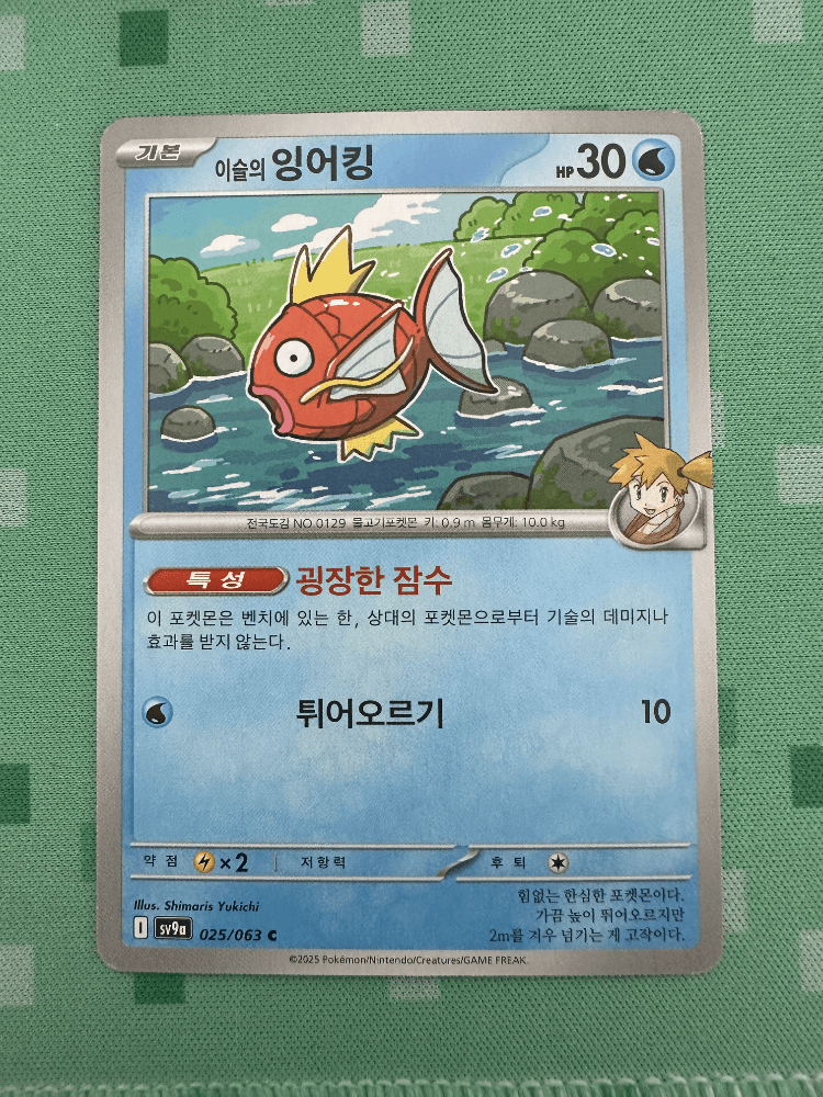 슬라이드 이미지 1
