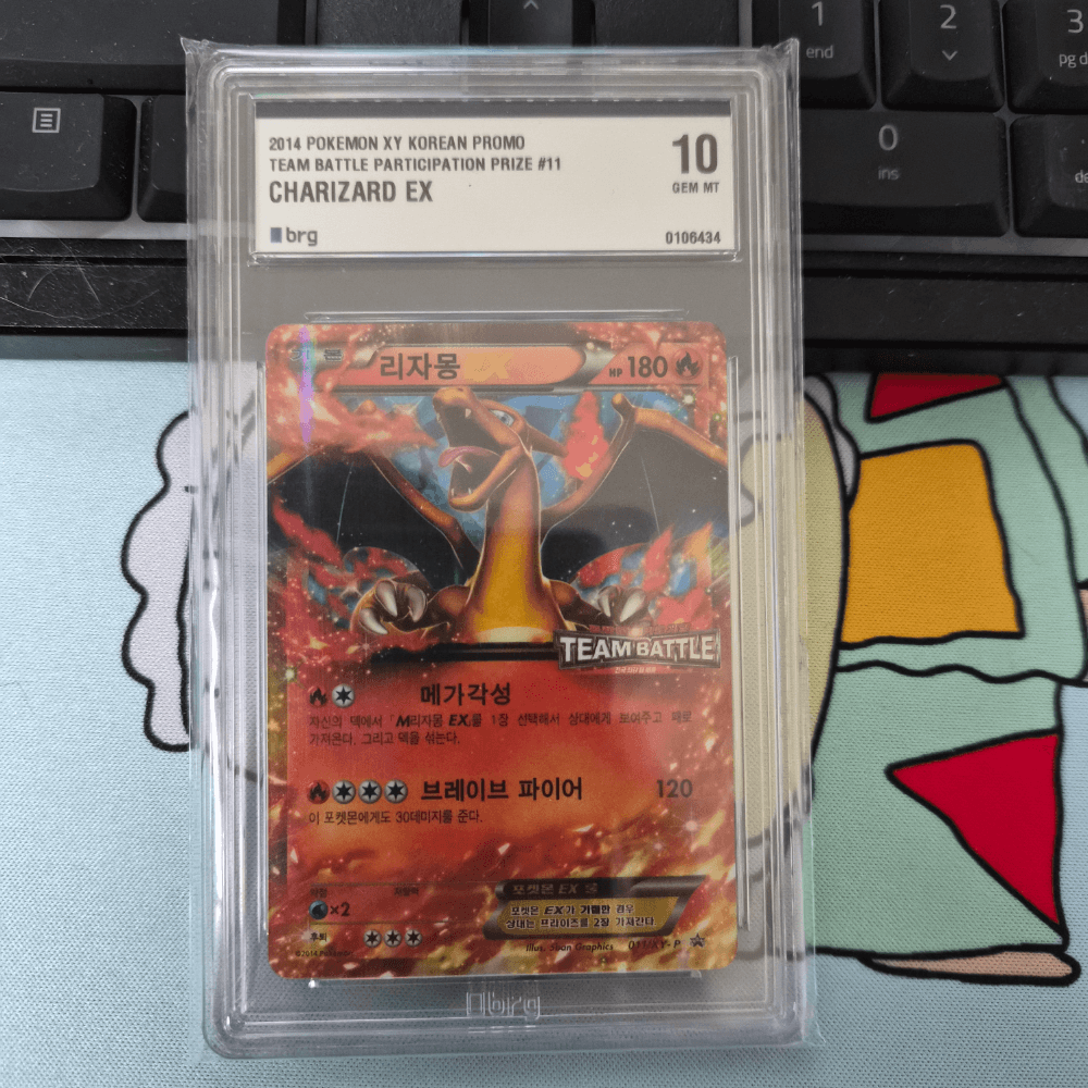 [BRG10]팀배틀 리자몽 