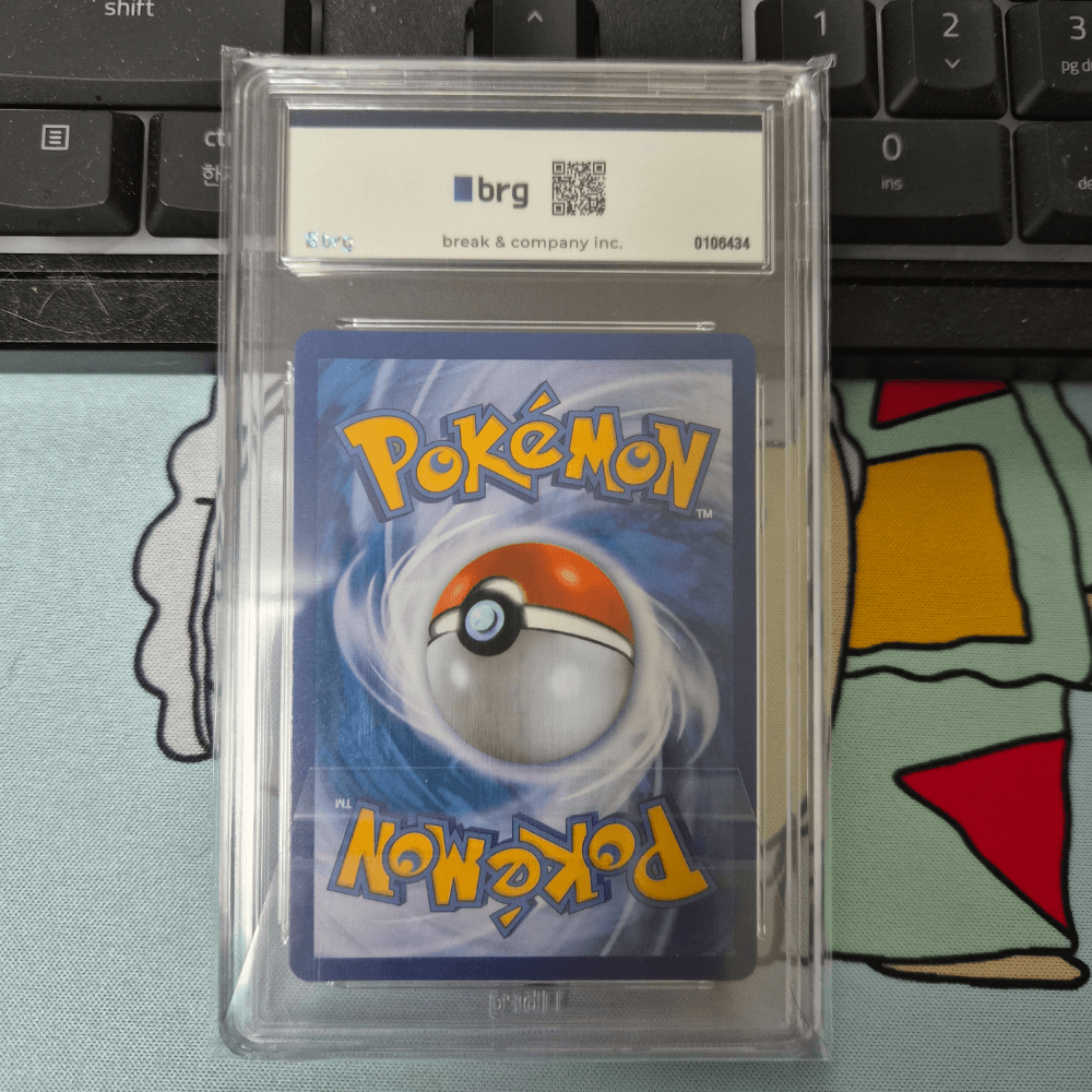 [BRG10]팀배틀 리자몽 