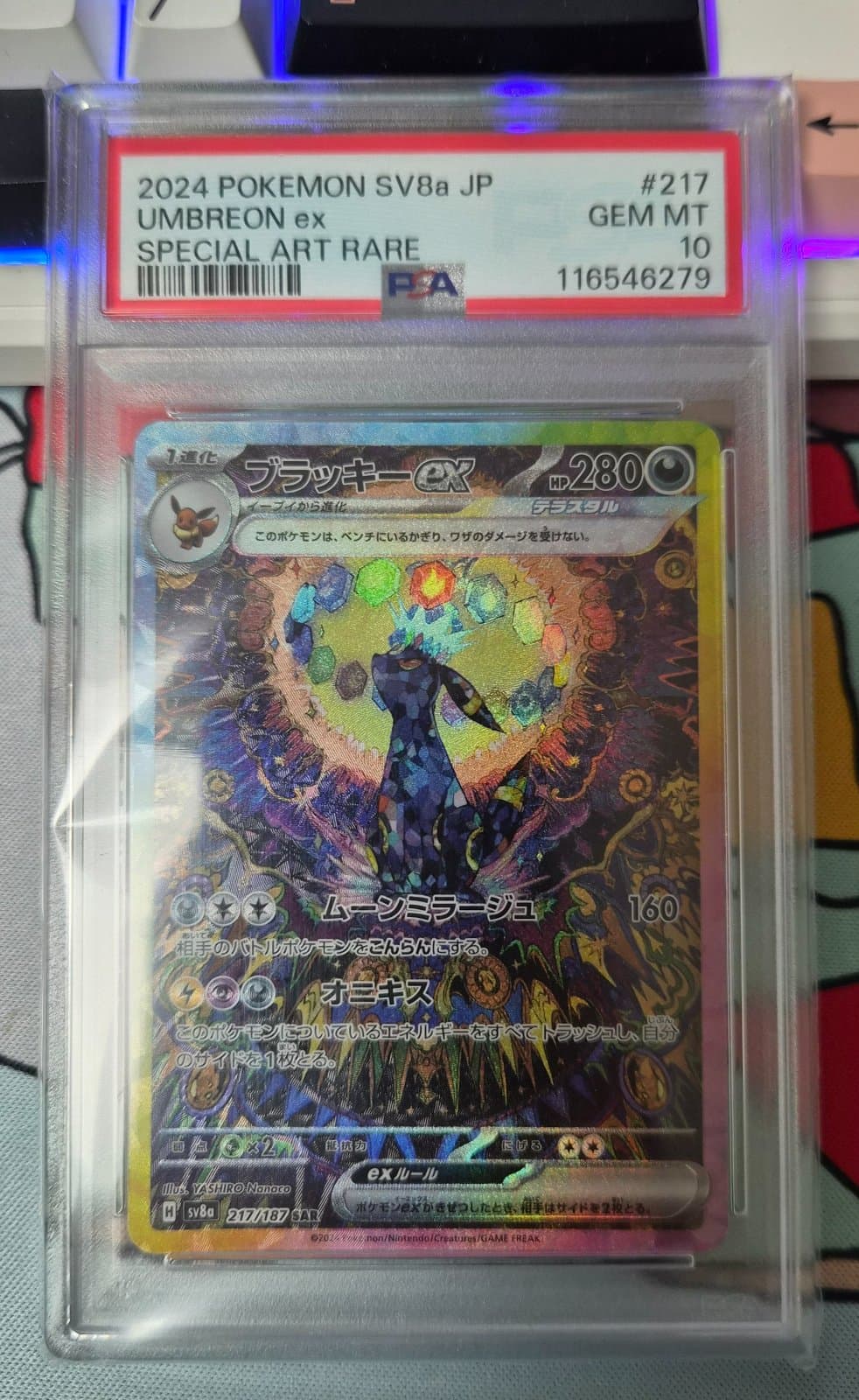 일판 테라스탈 블래키sar psa10