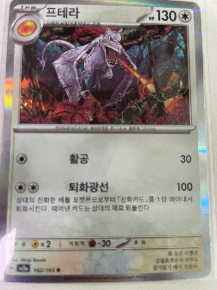 151수록 신지칸다 프테라홀로