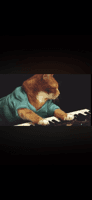 Keyboardcat