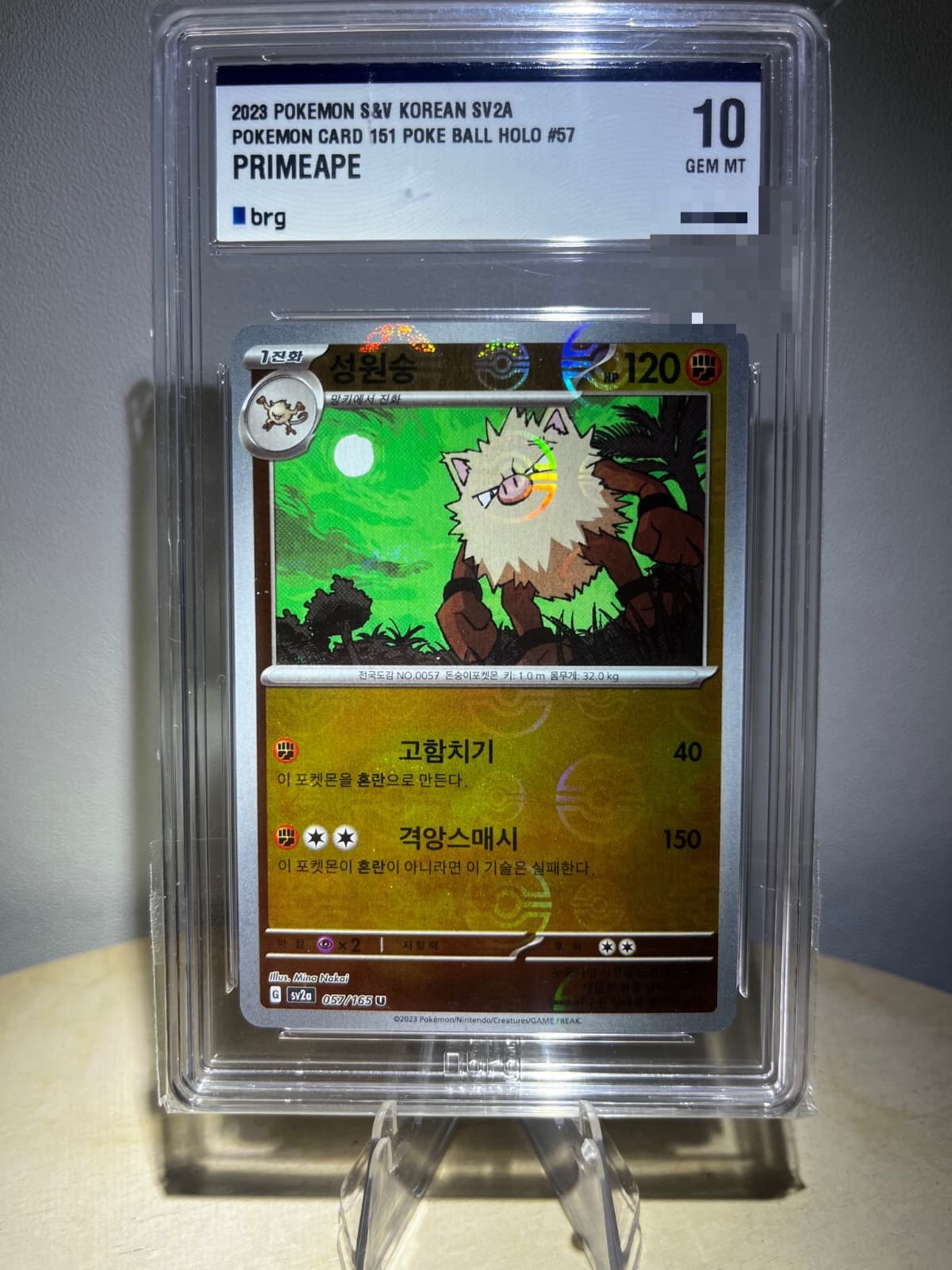성원숭 BRG10
