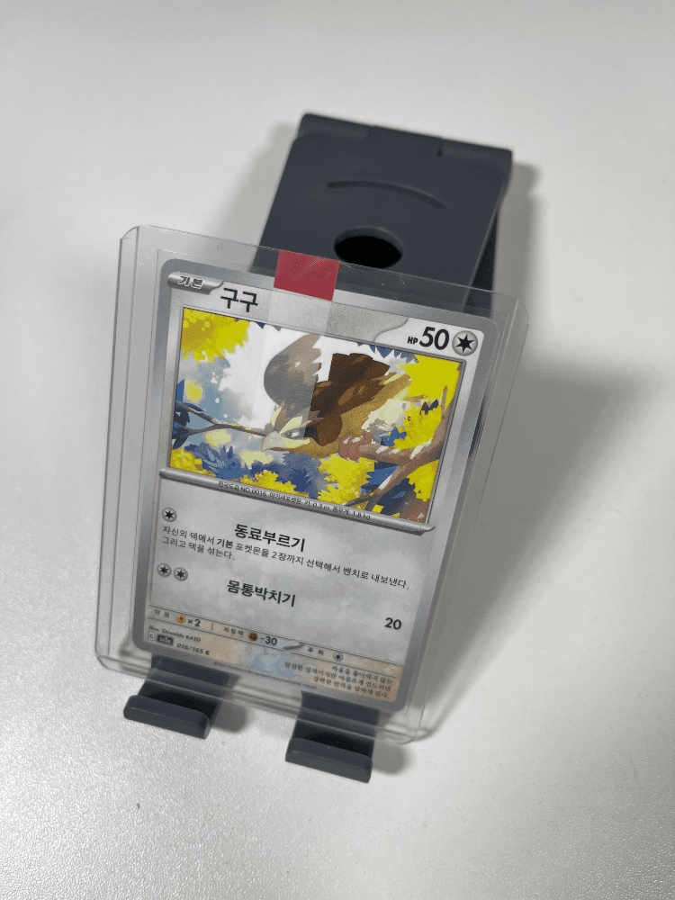 151 구구 일반