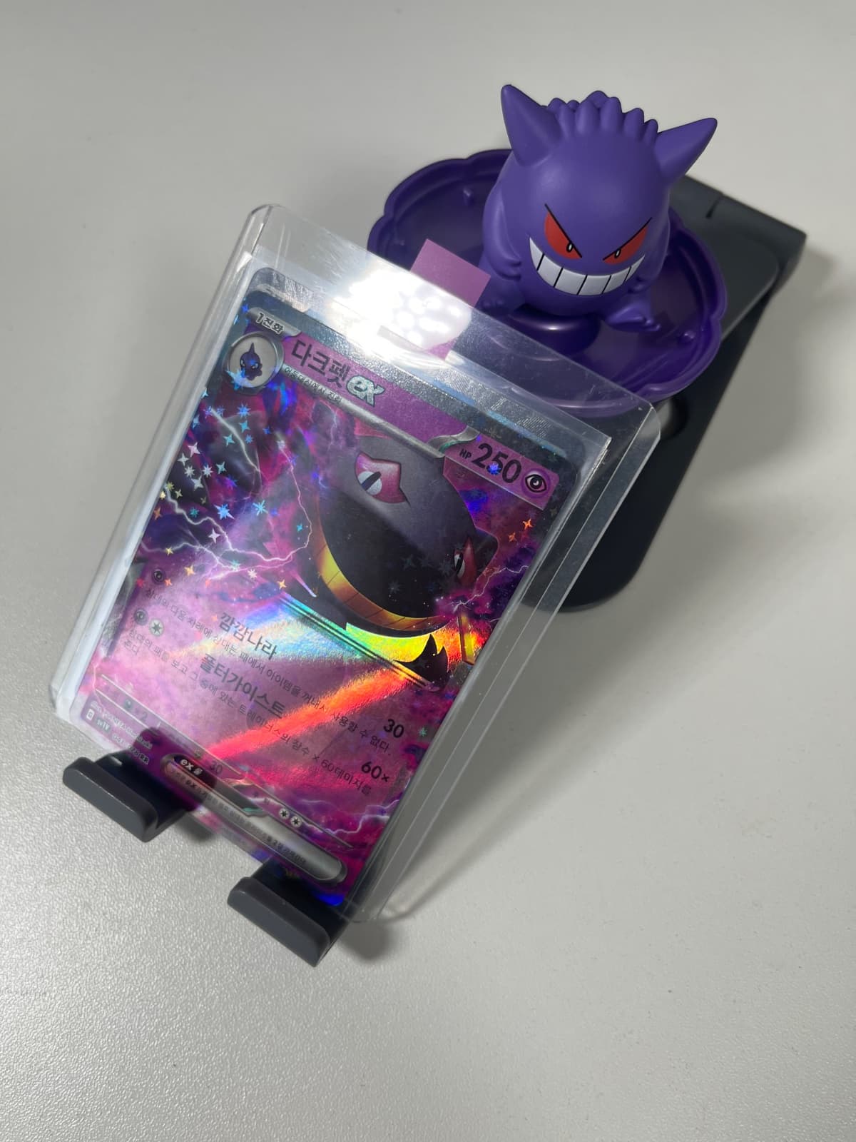 다크펫 ex rr