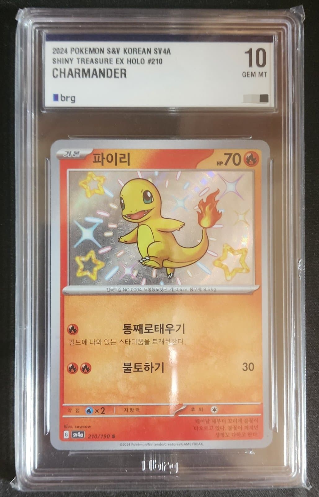 일판) 이로치 파이리 brg10 당일경매!!