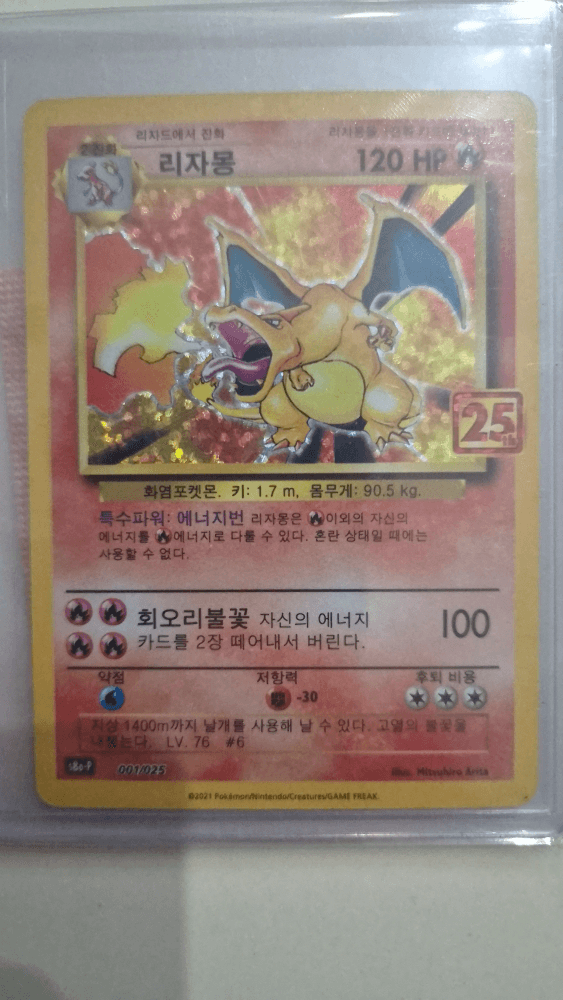 25주년 리자몽