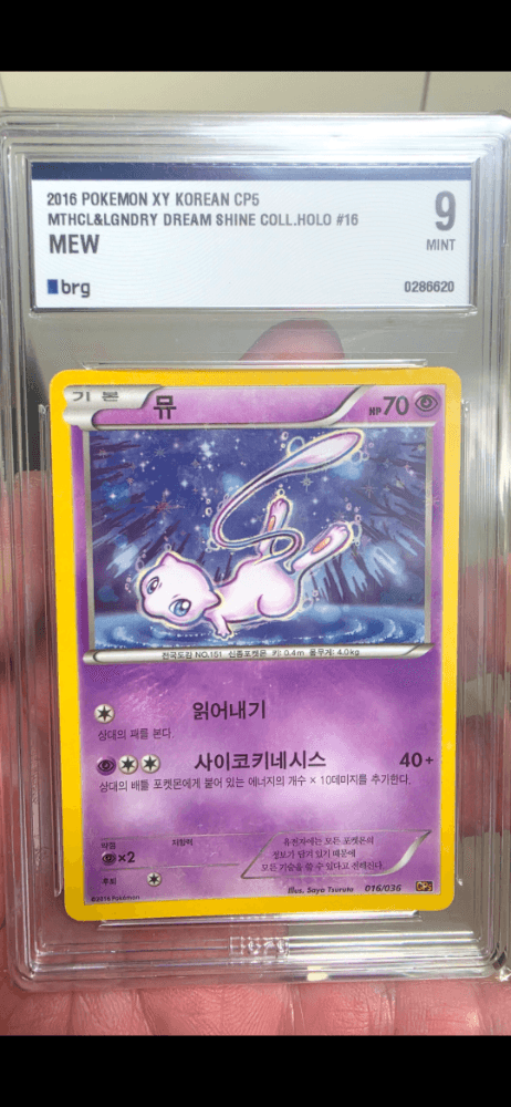 CP5 뮤 등카(BRG9)