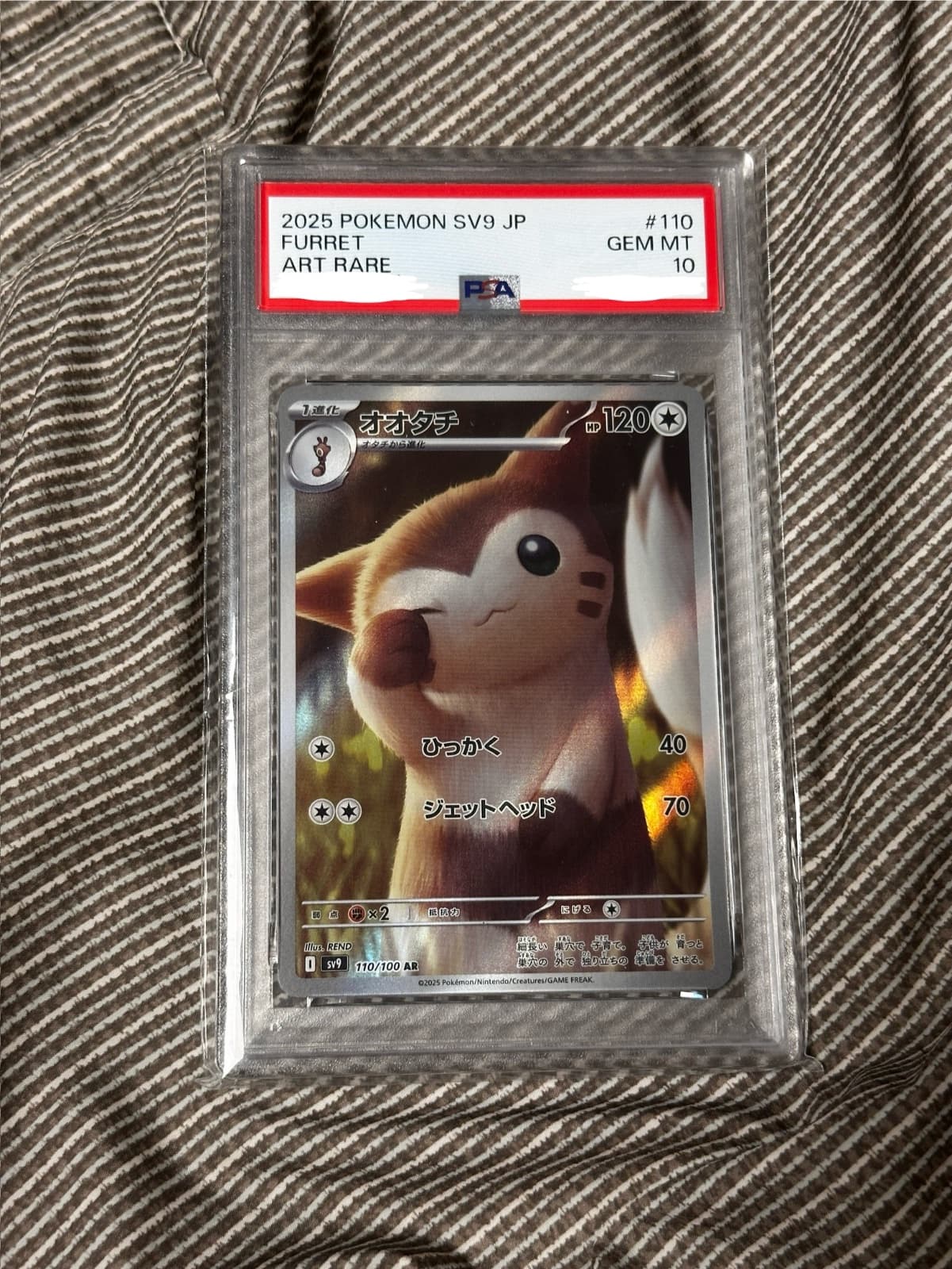포켓몬카드 다꼬리 PSA10
