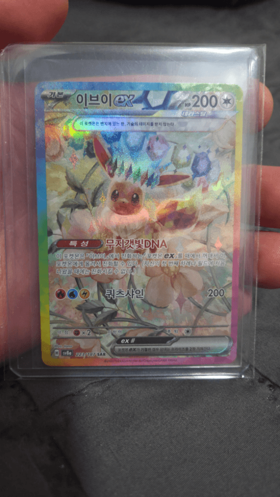 테라 이브이,에브이