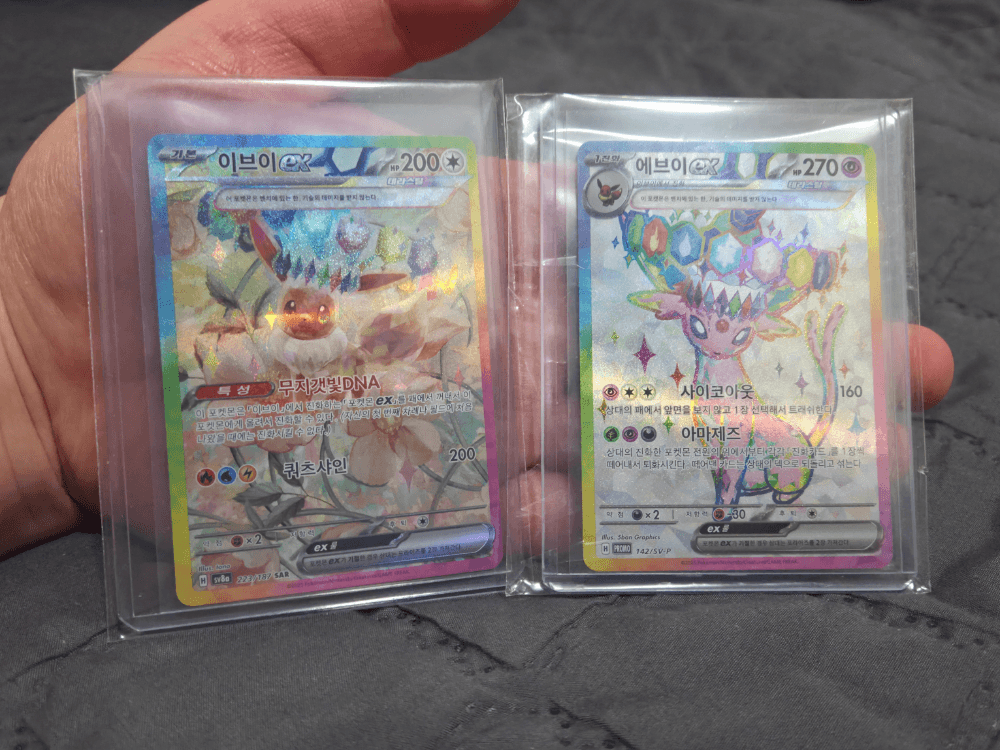 테라 이브이,에브이