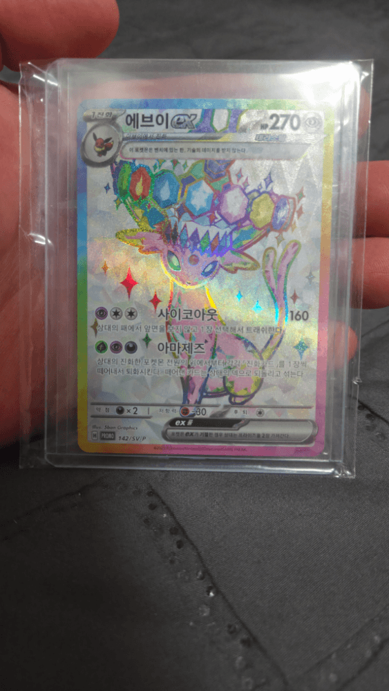 테라 이브이,에브이