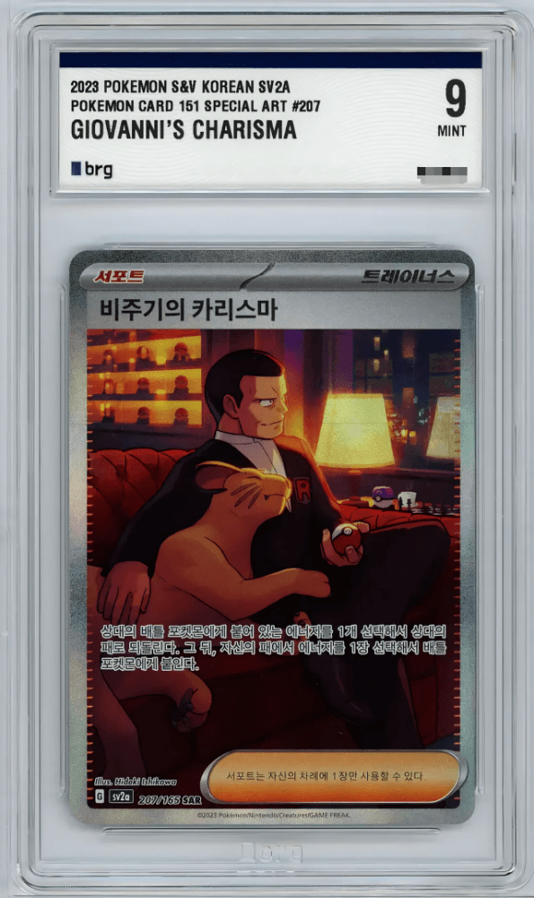 비주기의 카리스마 sar brg9