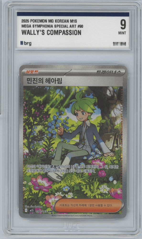 민진의 헤아림 sar brg9