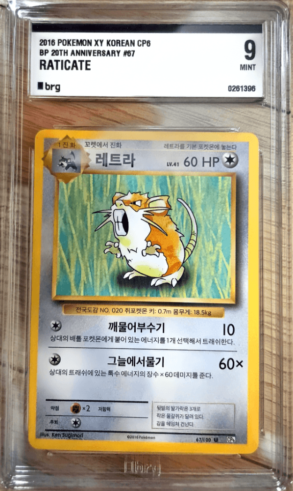 20주년 레트라 BRG9