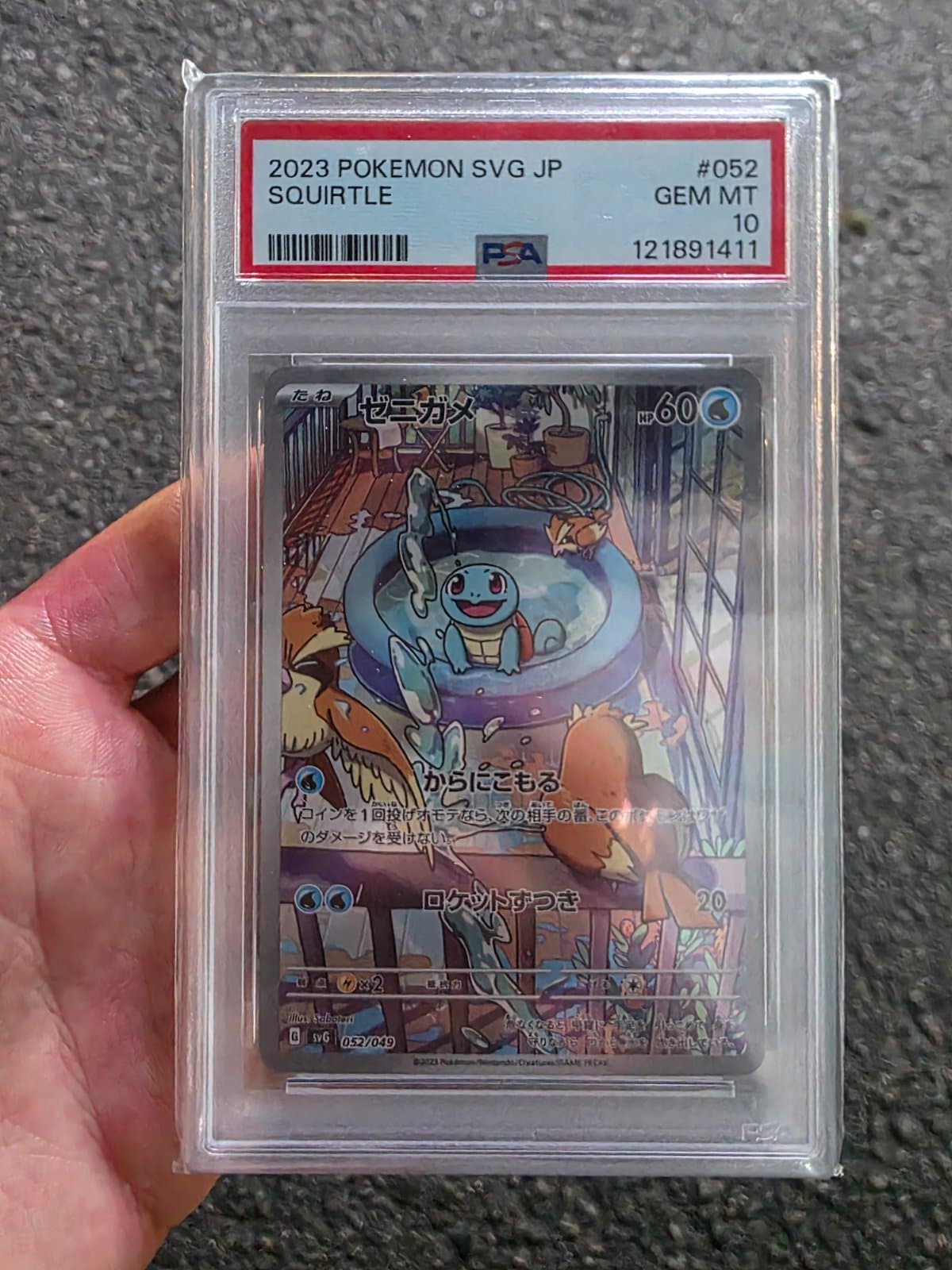 일판 psa10 꼬북이