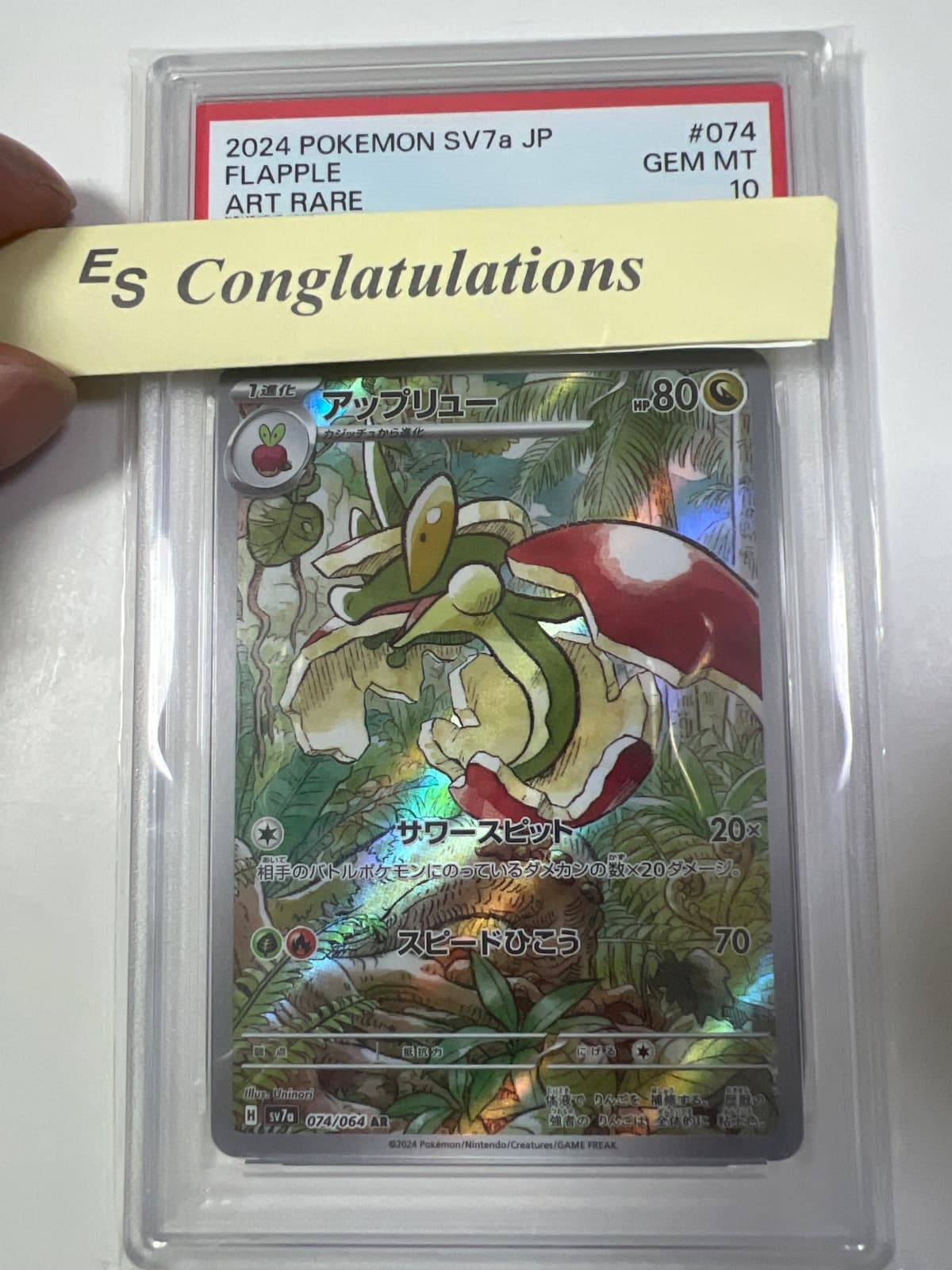 애프룡 PSA10