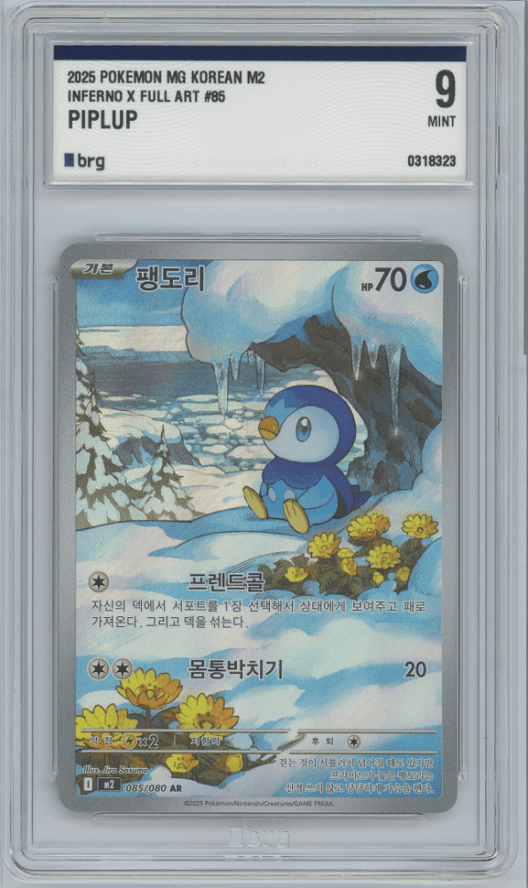 [ 한글판 ] 팽도리 AR ( BRG 9 )