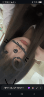 zl유