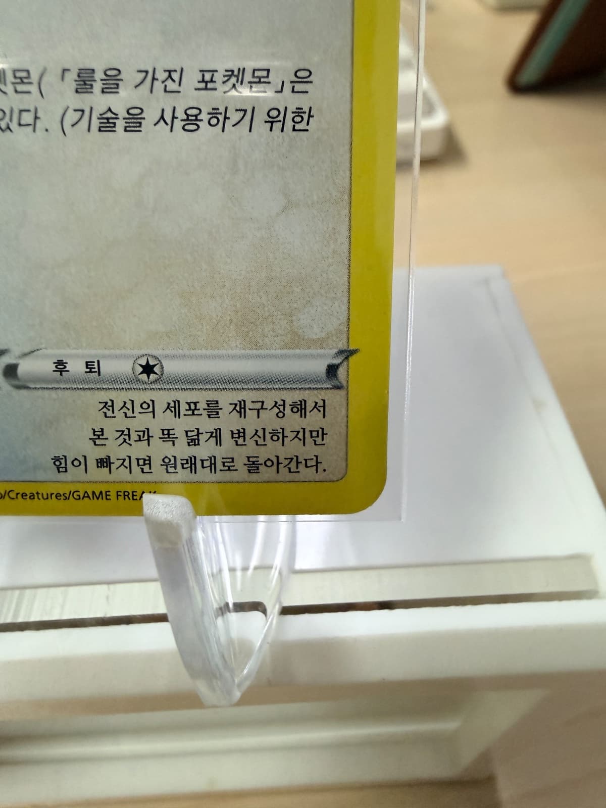 슬라이드 이미지 6