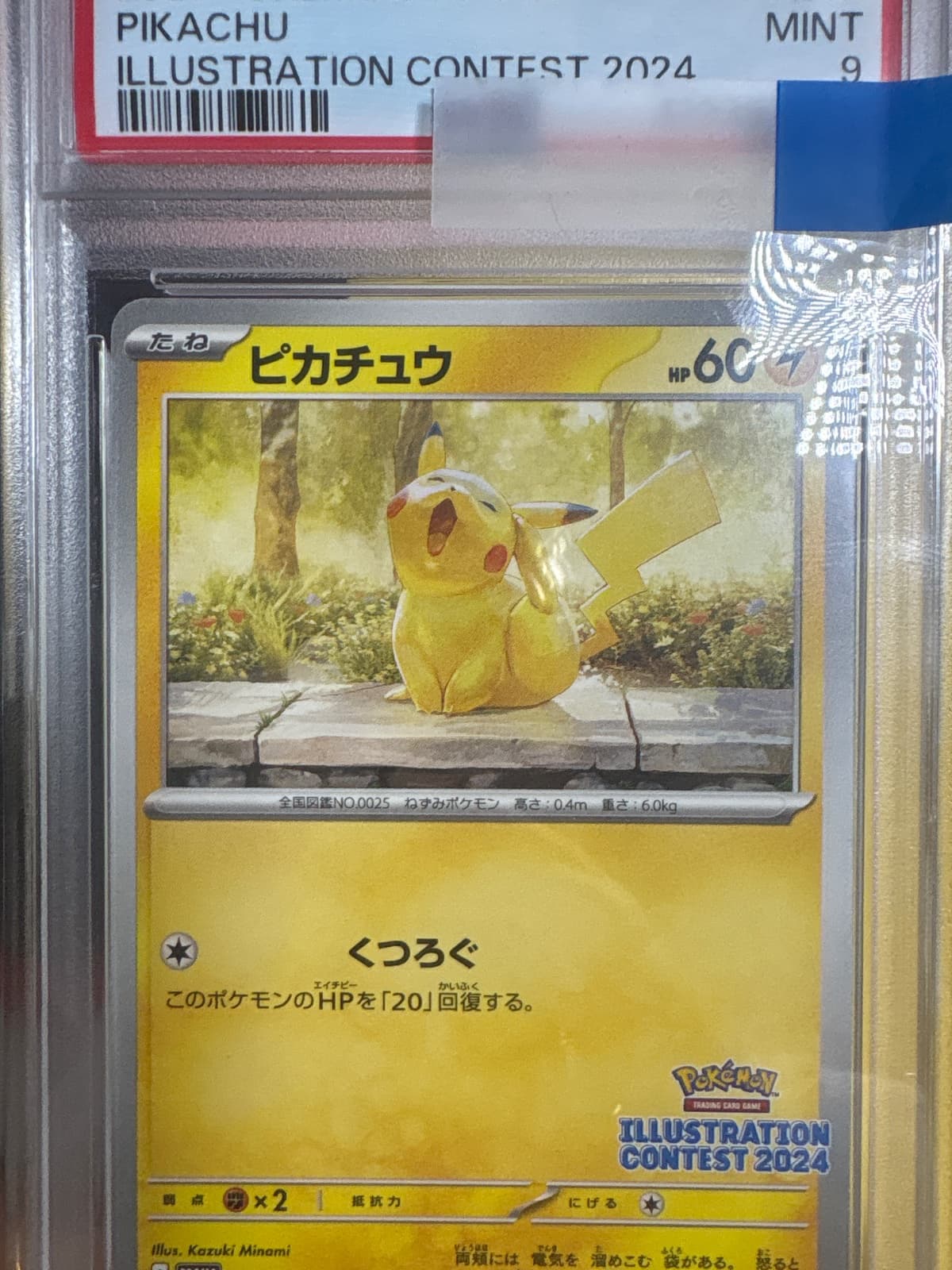 하품츄 PSA9
