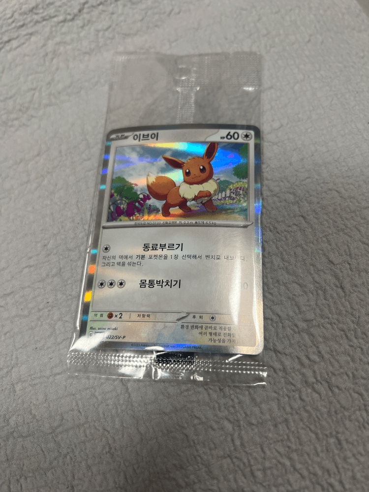 포켓몬카드 이브이 한정판미개봉프로모 당일경매!! 0원경매!!