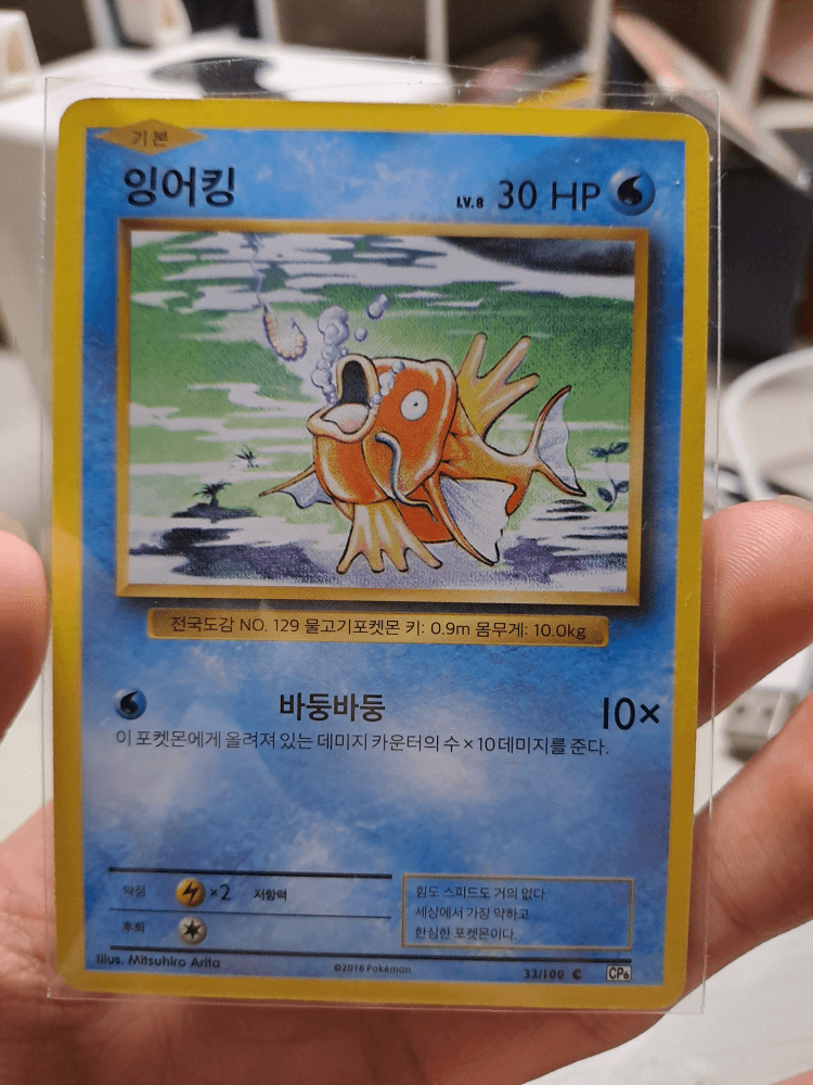 20주년 잉어킹입니다.