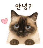 해리코코