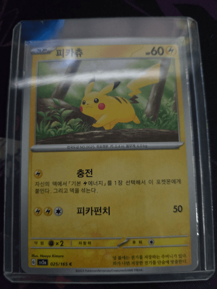 피카츄 입양하세요