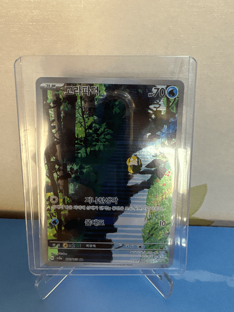 고라파덕 151 ar 0원