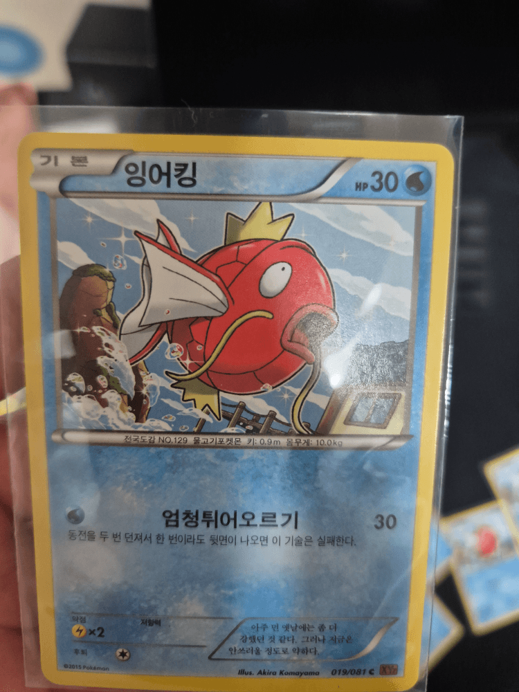 잉어킹 카드