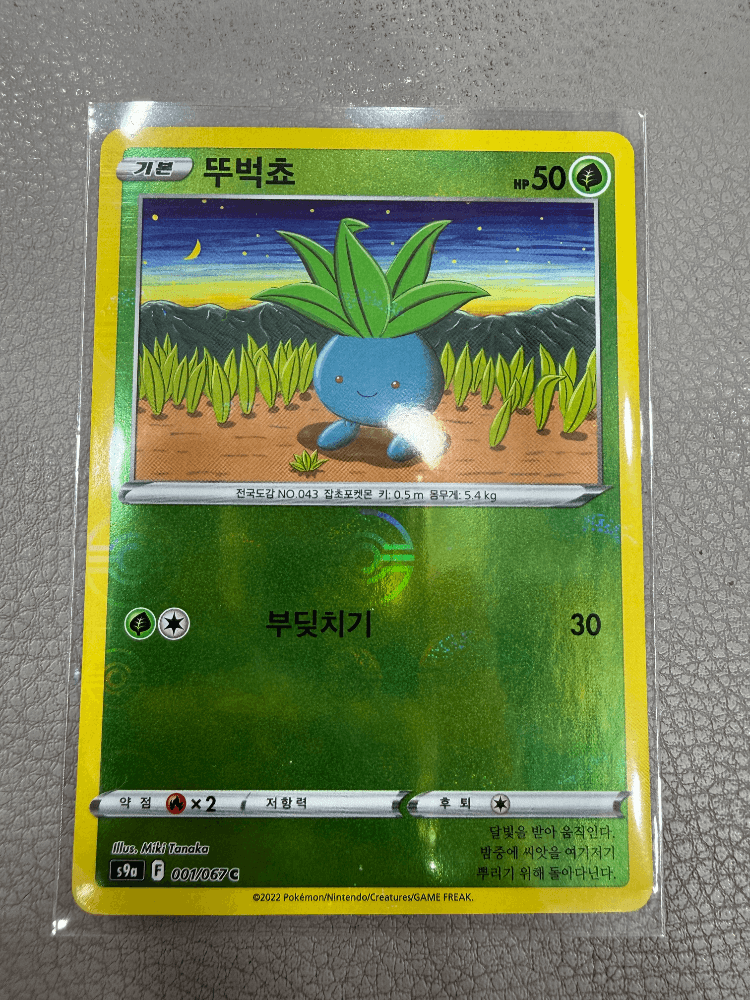 🔥[500원 경매]🔥포켓몬카드 포켓볼 “뚜벅쵸” 업어가세요!
