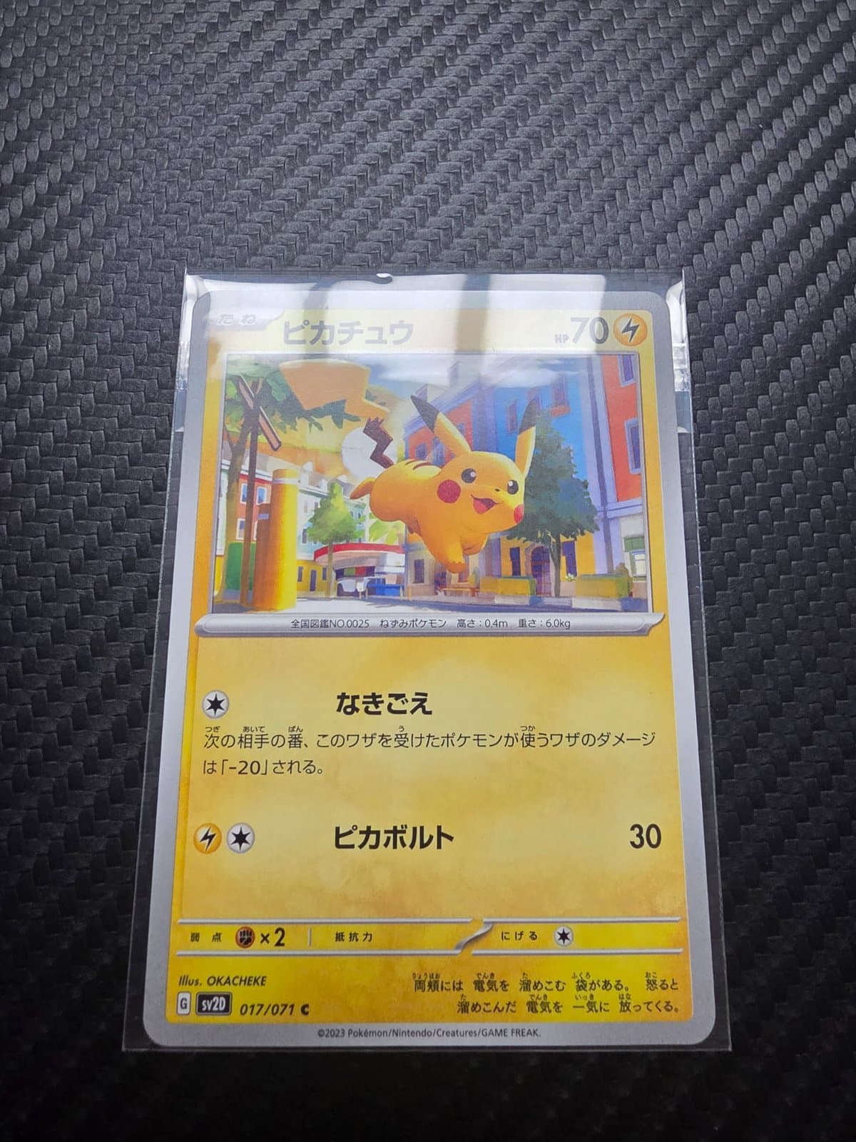 🇯🇵피카츄🇯🇵