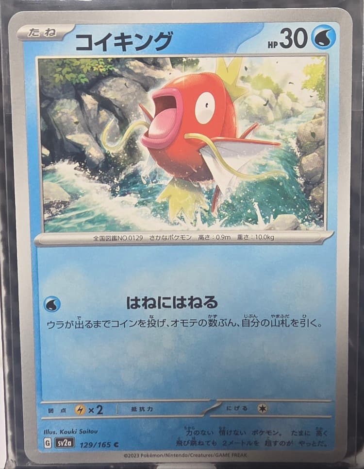 🇯🇵잉어킹🇯🇵