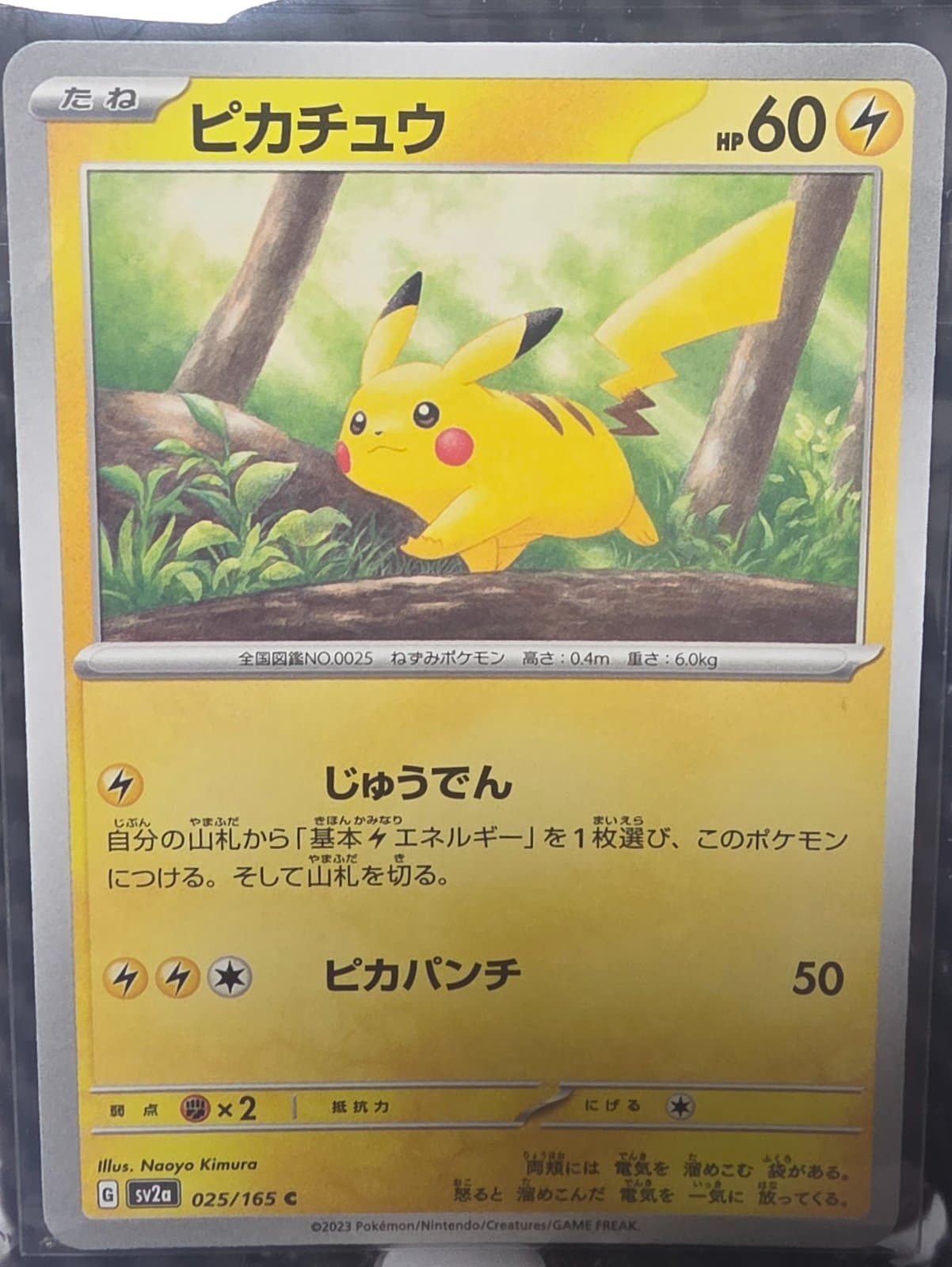 🇯🇵등산츄🇯🇵