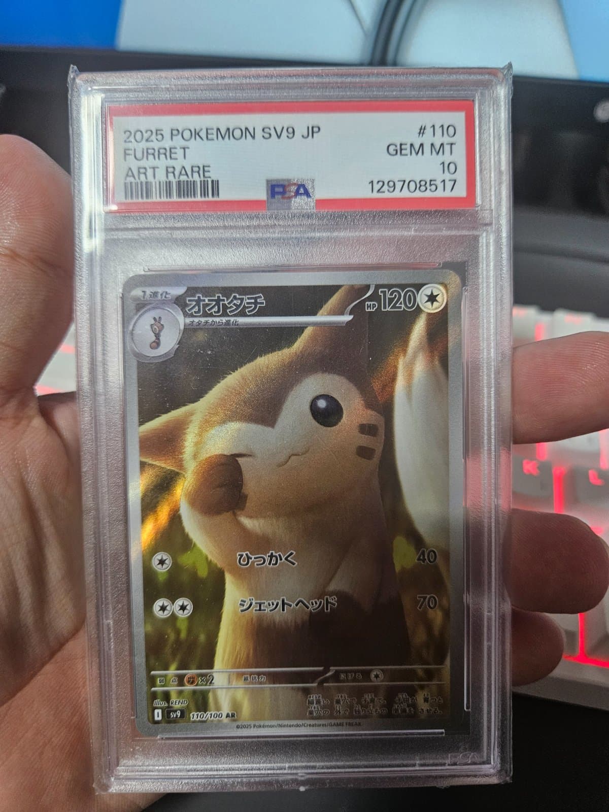 일판 다꼬리ar psa10 초특급 귀요미