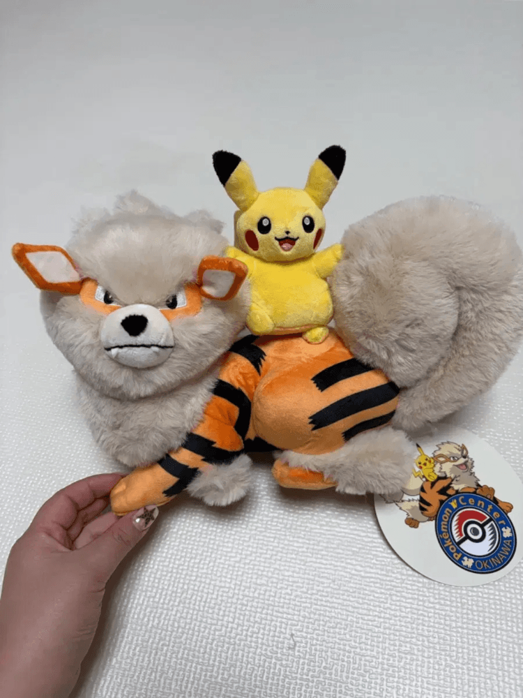 오키나와 포켓몬센터 마스코트 인형 (윈디&피카츄)