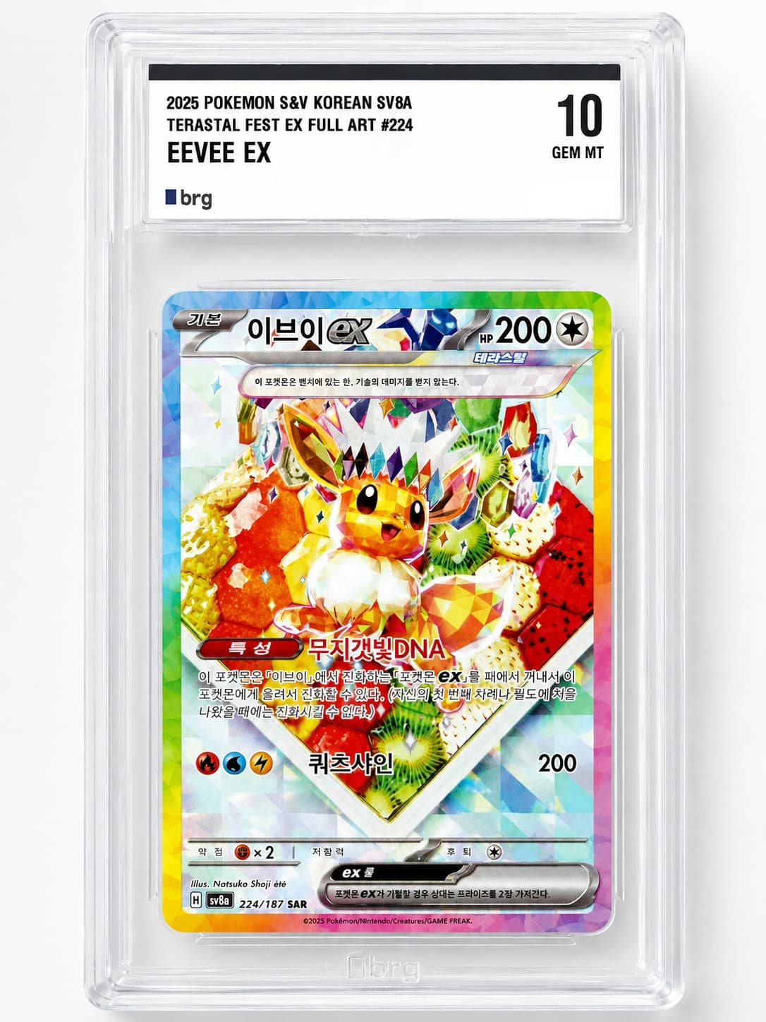 테라스탈 이브이EX BRG10 